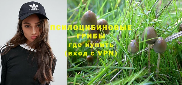ECSTASY Навашино