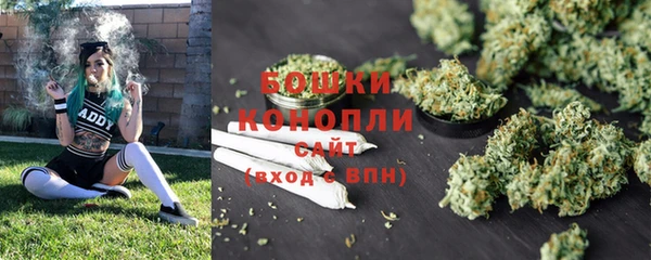 шишки Наволоки