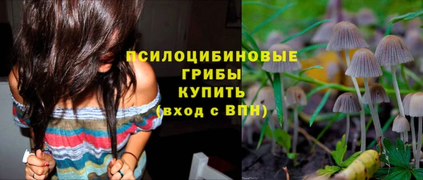 ECSTASY Навашино