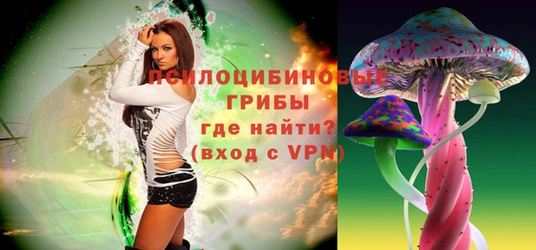 ECSTASY Навашино