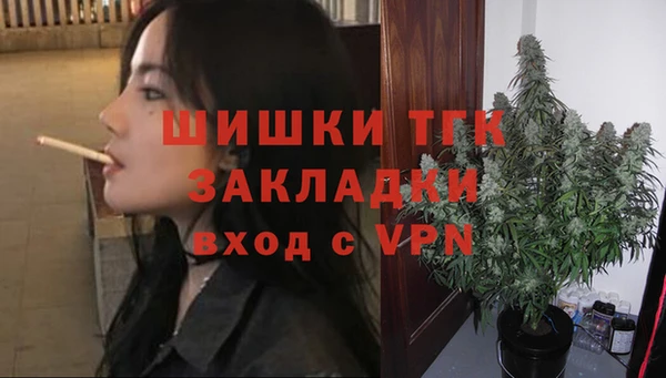 прущие крисы Надым