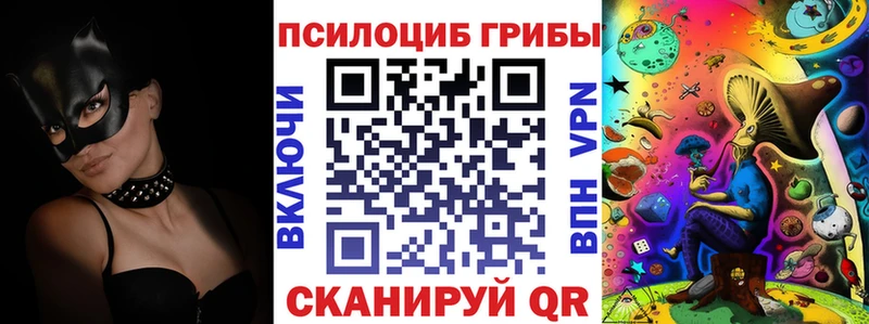 Галлюциногенные грибы Psilocybe цены Болохово