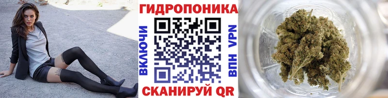 как найти закладки  Болохово  Марихуана AK-47 